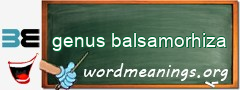 WordMeaning blackboard for genus balsamorhiza
